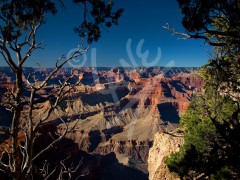 ARIZONA The Grand Canyon